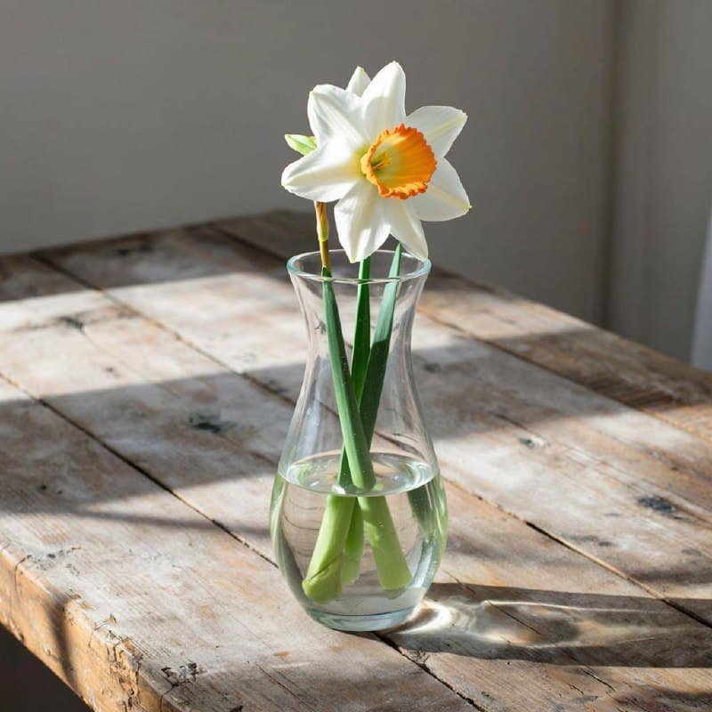 Фотография поста