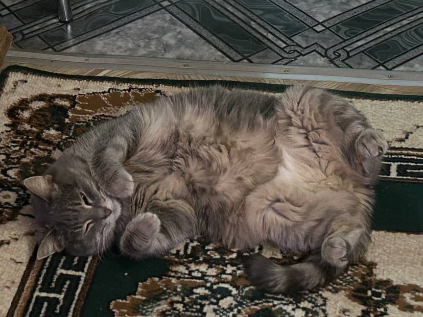 Фотография поста