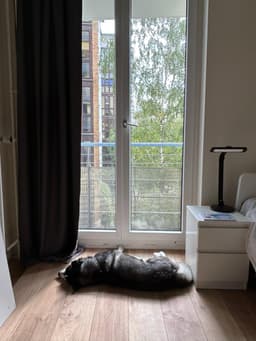 Как легко ты встаешь по будильнику опрос image preview