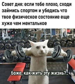 ⚡️ Какая суперсила помогла бы тебе в жизни прямо сейчас? image preview