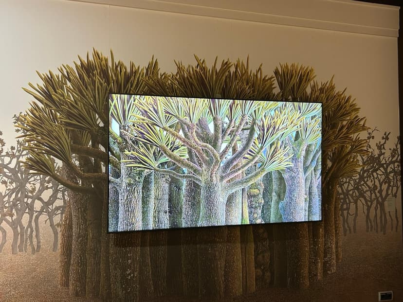 Фотография поста