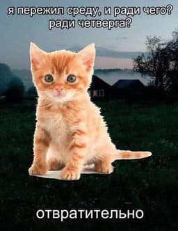 #мемотерапия image preview