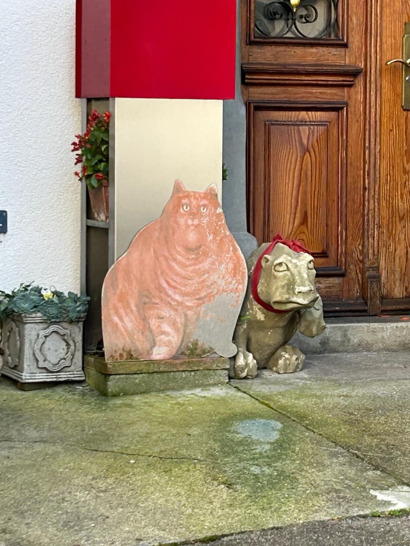 Фотография поста