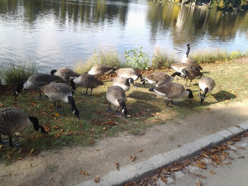 Фотография поста