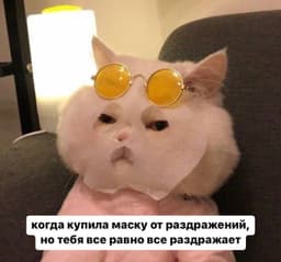 Особенно утром😁 image preview