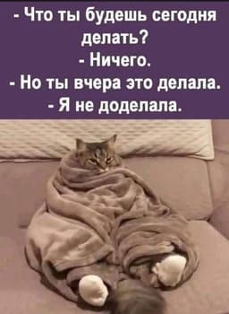 #воскресное #доброутреннее image preview