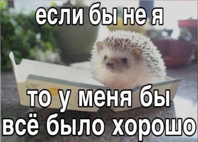 Фотография поста