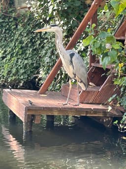 🤔Как вы чувствуете себя, если вам нужно... image preview