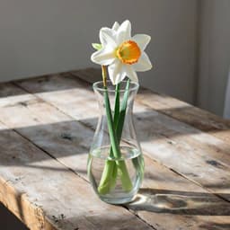 В мире психологии существует множество... image preview