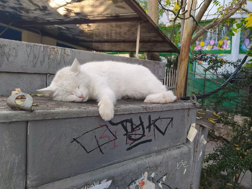 Фотография поста