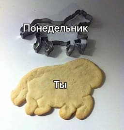 понедельничное доброутреннее image preview