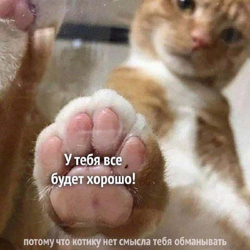 Мои хорошие, всем лёгкой счастливой недели! 🤗❤️ image preview
