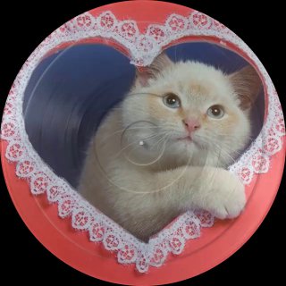 Мои хорошие, как дела? Готовитесь к Дню... image preview