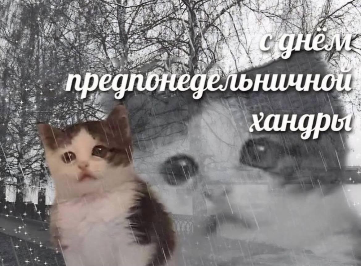 #мемотерапия image preview