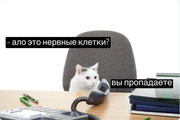 Какая черта в коммуникации с коллегами кажется вам наиболее деструктивной? image preview