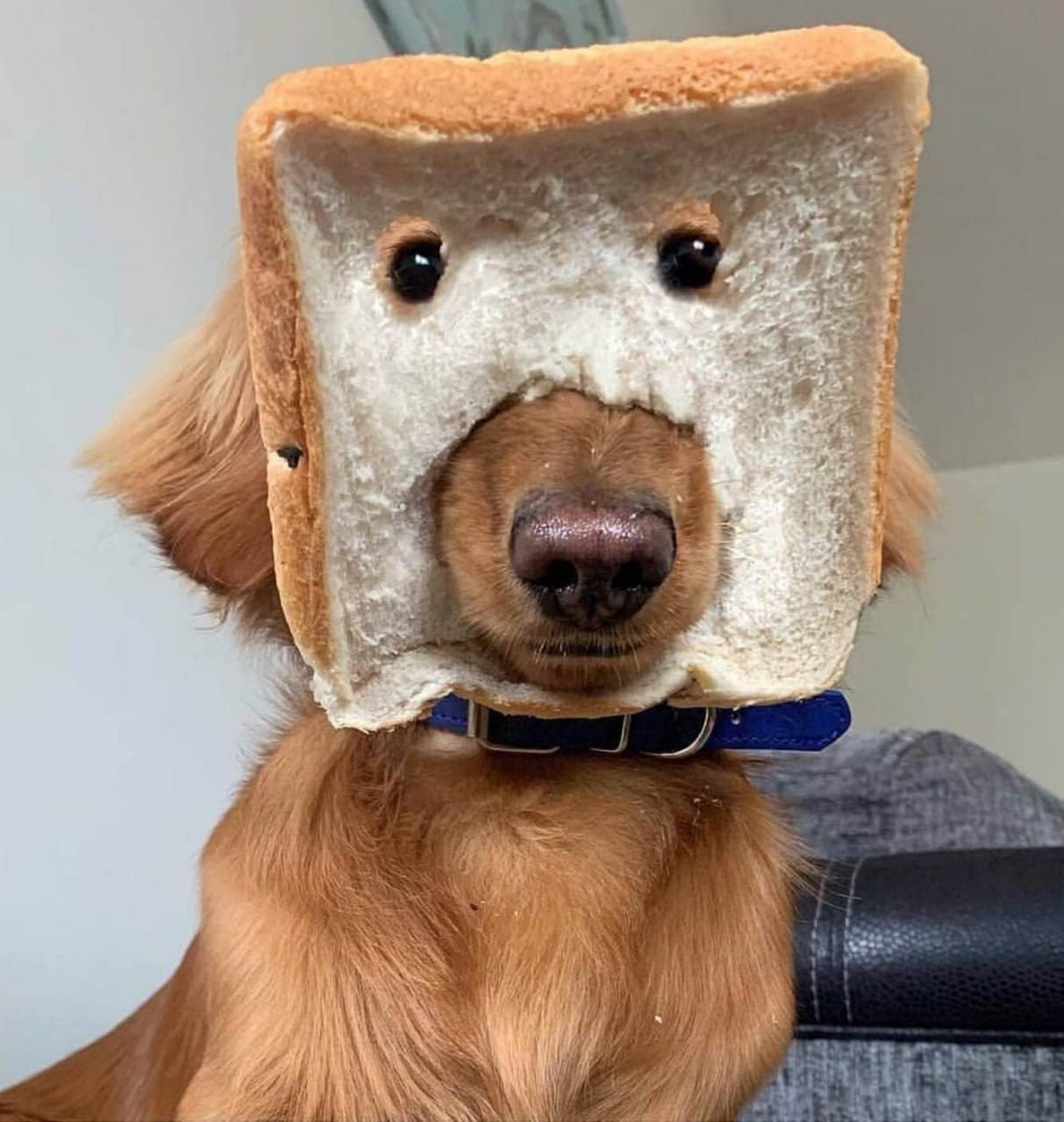 Фотография поста