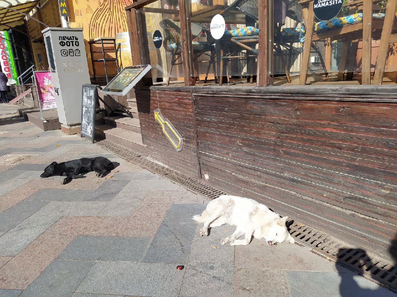 Как ваш организм реагирует на необходимость спешить? image preview