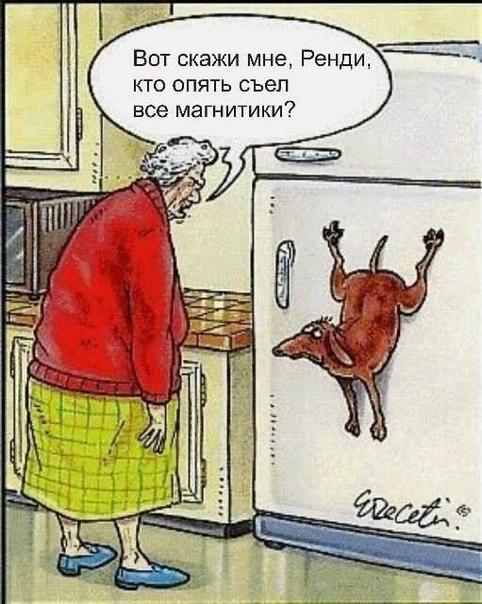 Какое занятие по дому помогает вам «заземлиться»? image preview