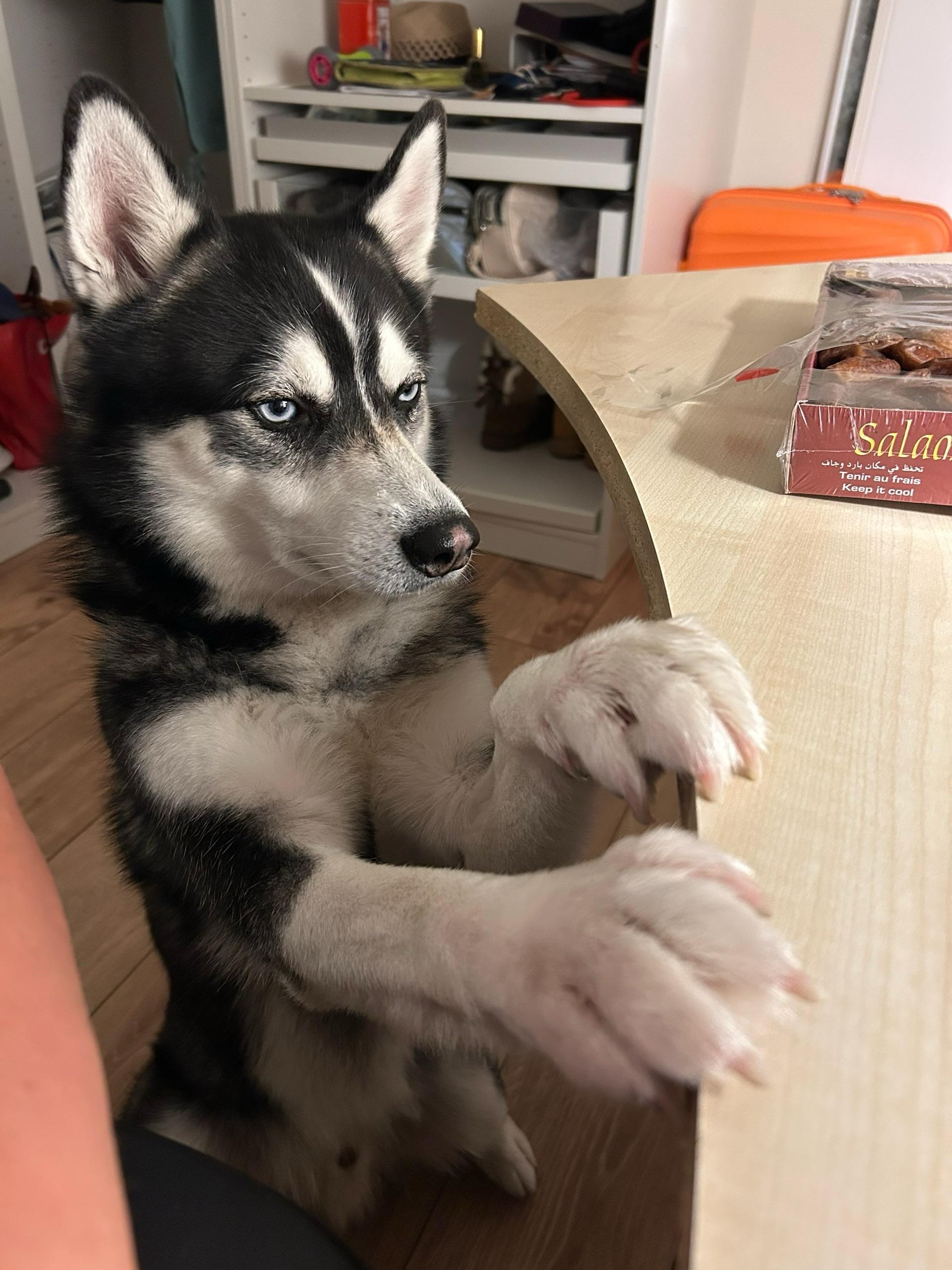 Что чувствуете, когда на вас смотрят? image preview