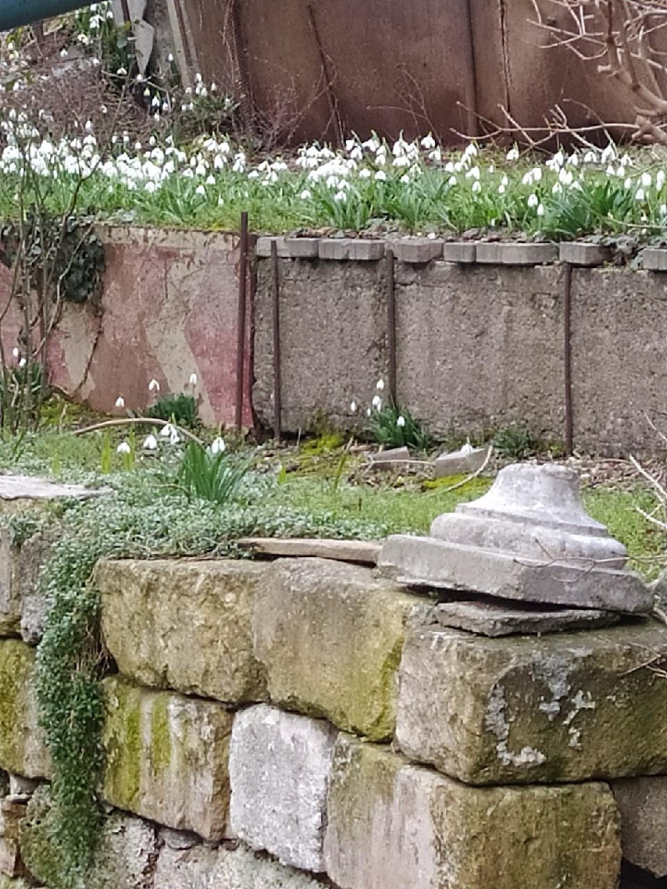 Фотография поста