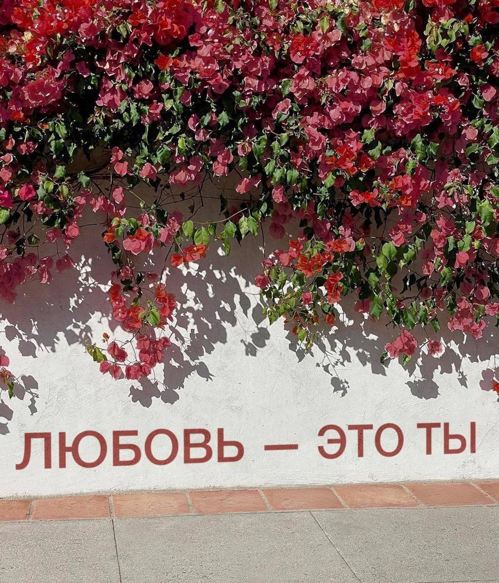 🧠 Как мысли управляют вашим телом image preview