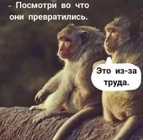 Фотография поста
