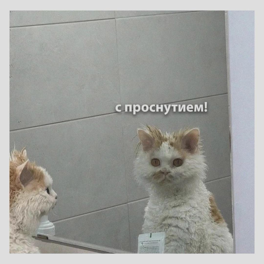 доброутреннее image preview