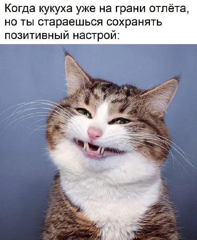 Фотография поста