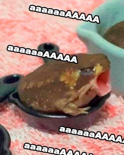 Фотография поста