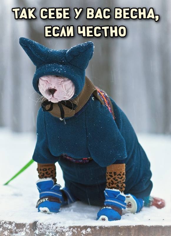 #доброутреннее image preview