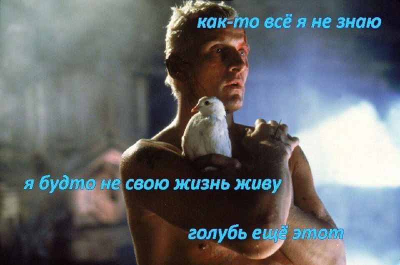 Как справиться с негативными качествами? image preview