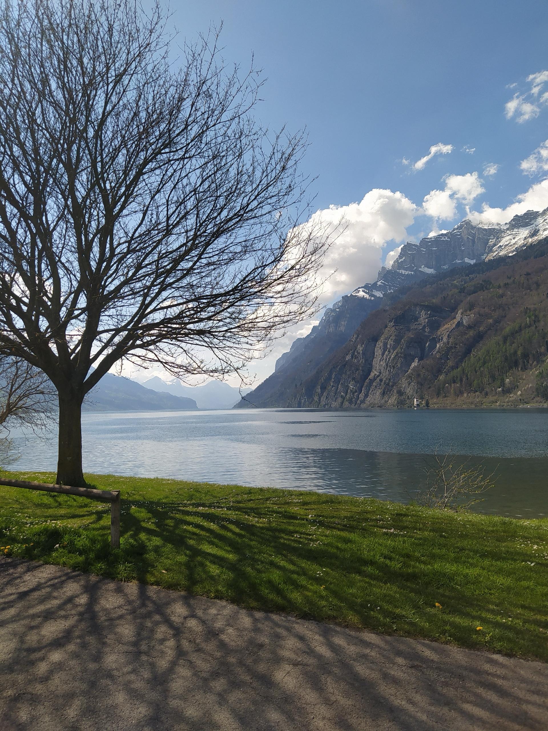 Как вы считываете негласные правила в новом коллективе, чтобы быстро встроиться в систему? image preview