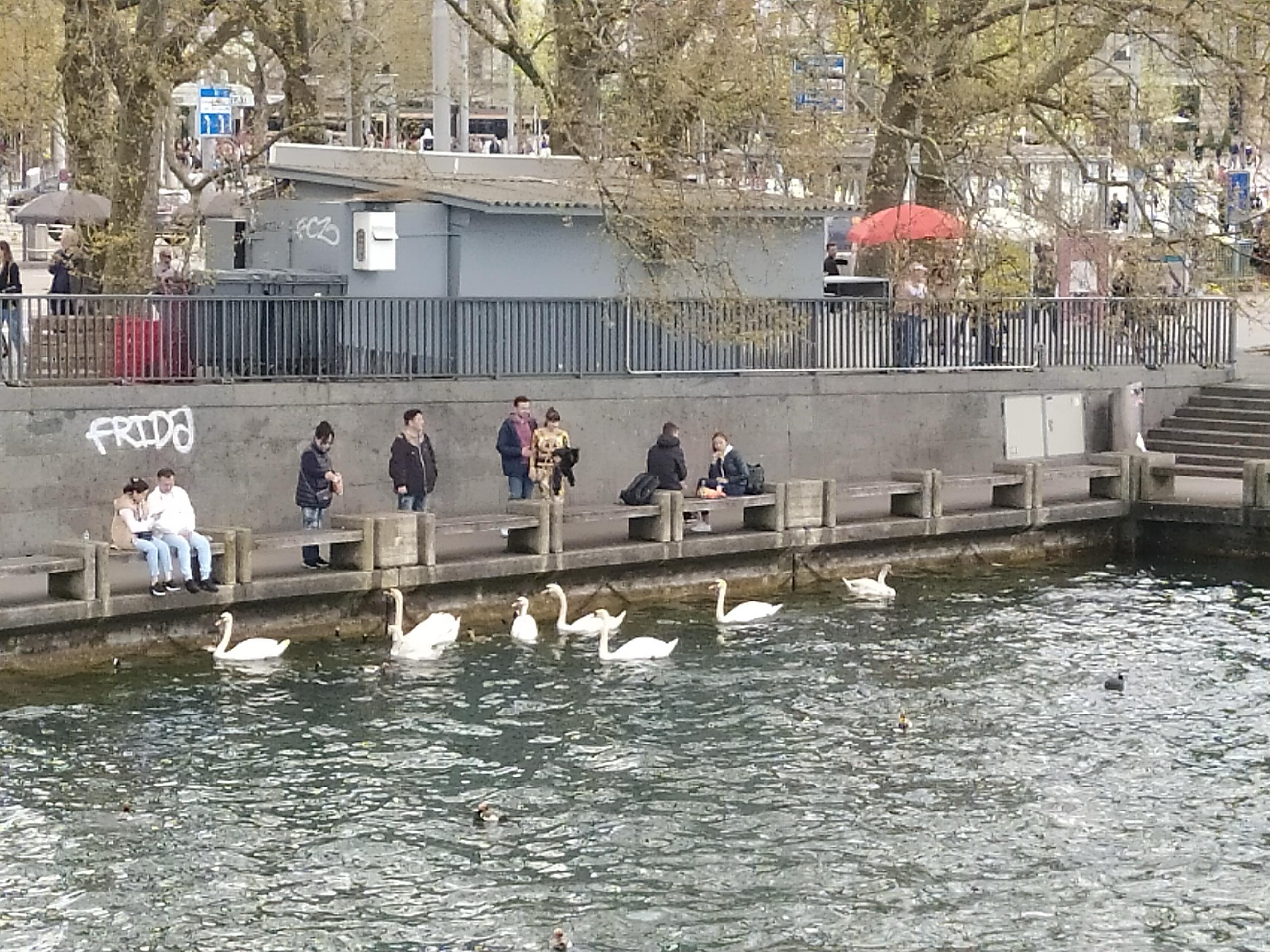 Фотография поста