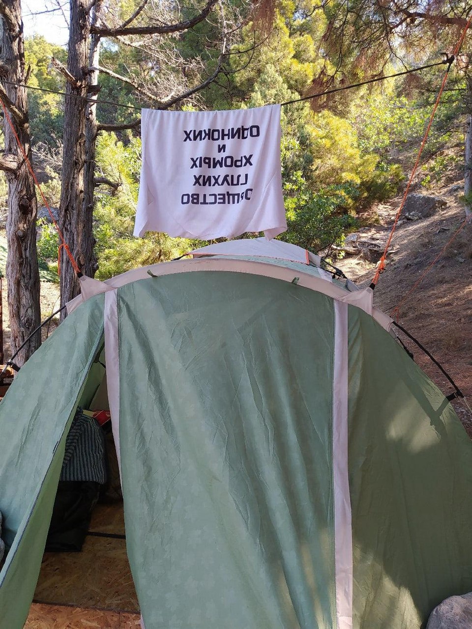 💪 Какой мотиватор не позволяет бросить тренировки? image preview