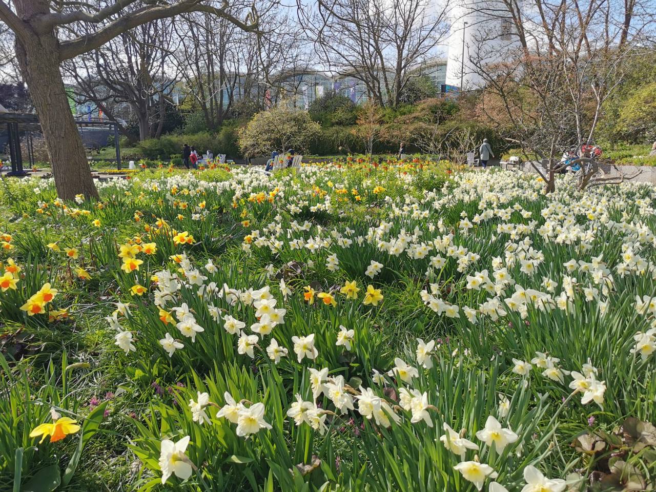 Фотография поста