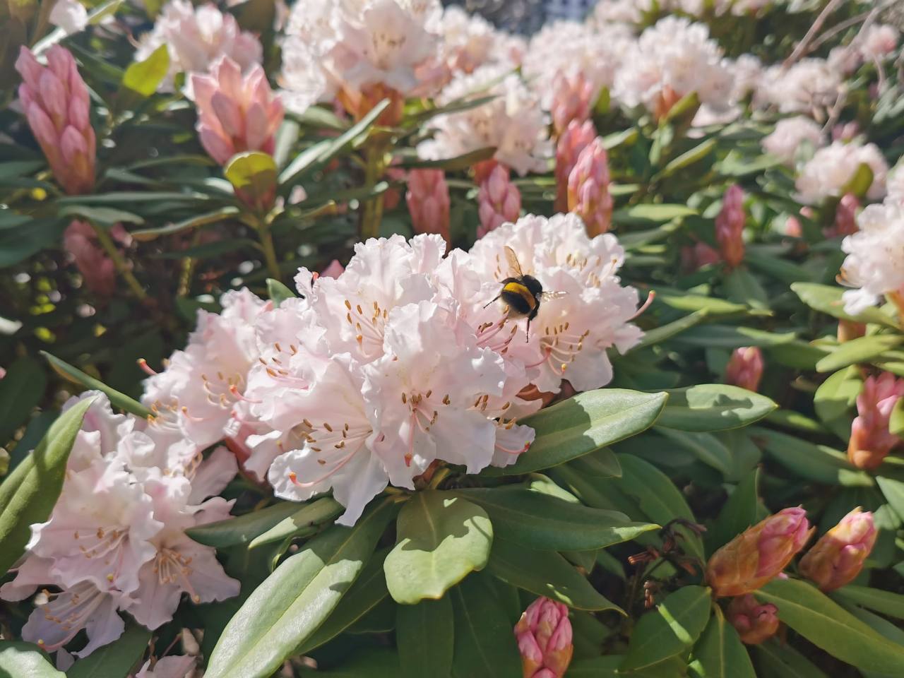 Фотография поста