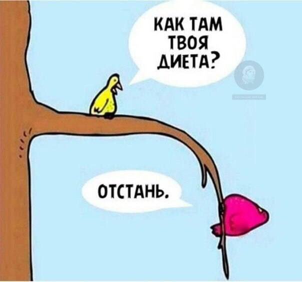 Что происходит внутри вас, когда в дорогом ресторане вам приносят блюдо, которое совершенно не соответствует вашим ожиданиям? image preview