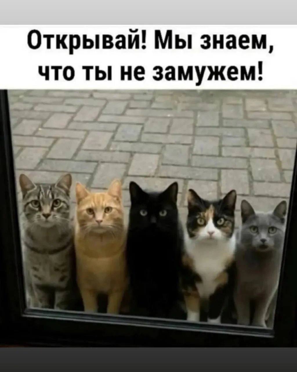 Фотография поста