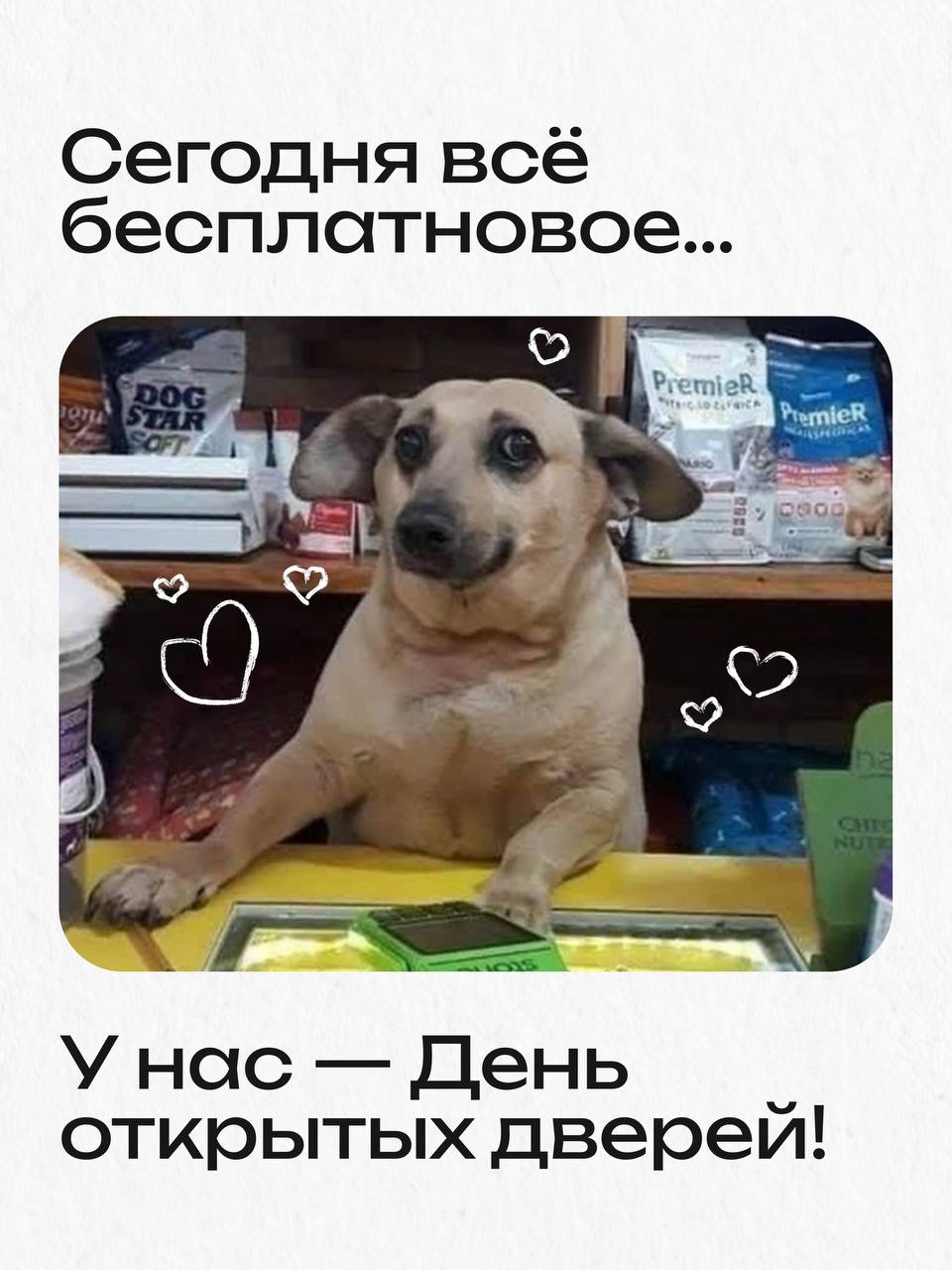 Если ты не знаешь как поступить, обрати... image preview