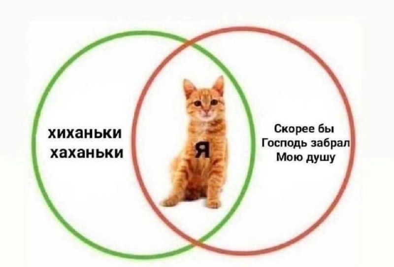 Фотография поста