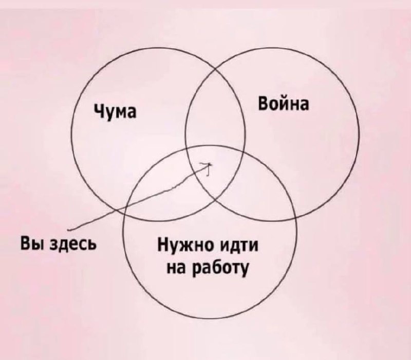 Я психолог, работаю с тревогой. Тем временем мир… image preview