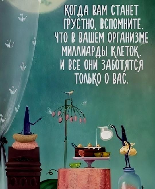 В 1990-х учёные заметили, что одноклеточная... image preview